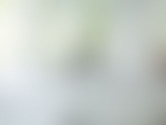 8 SECRETS TO GETTING THE PRIMARY SUITE RIGHT 