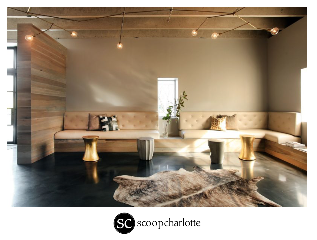 Scoop Charlotte