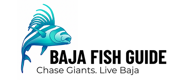 Baja Fish Guide (2000 x 700 px) (3)_edited.png