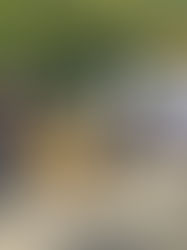 Car-Free Day at Studio Four