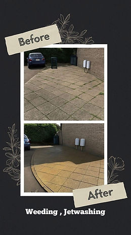 garden transformation isle of wight