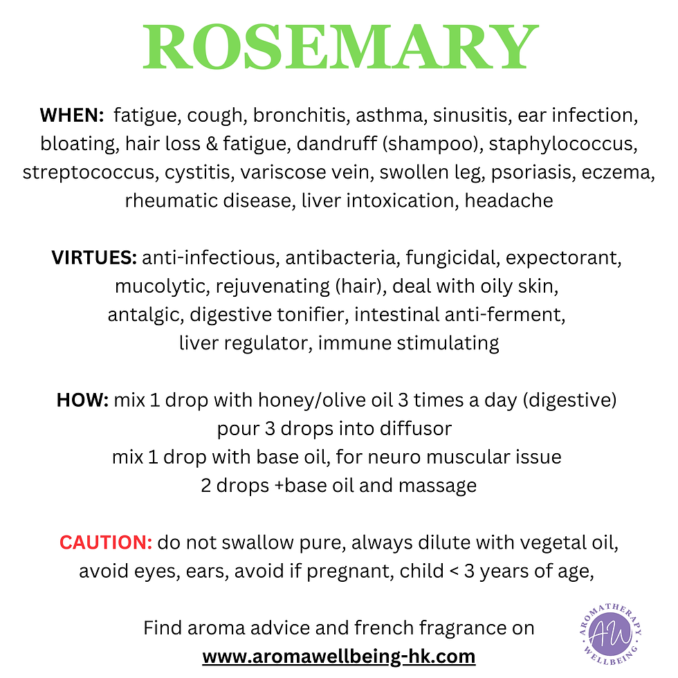縮圖：Rosemary oil