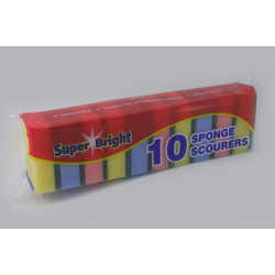 Sponge Scourer