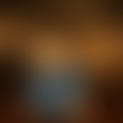 Ibis Lincoln - Somewhere Between a Bunker and a Time Capsule