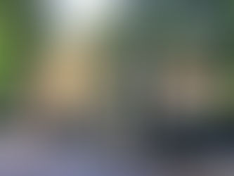 Turno Consulado Portugués Argentina – Cómo Solicitar? – Todo lo que necesitas saber para hacerlo fácilmente en 2025