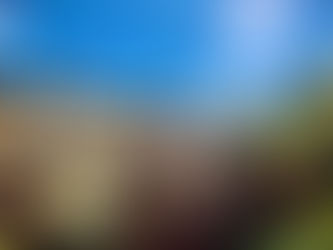 Agendamento Consulado Português: Descubra a Melhor Época e Garanta Seu Horário Rápido e Sem Burocracia