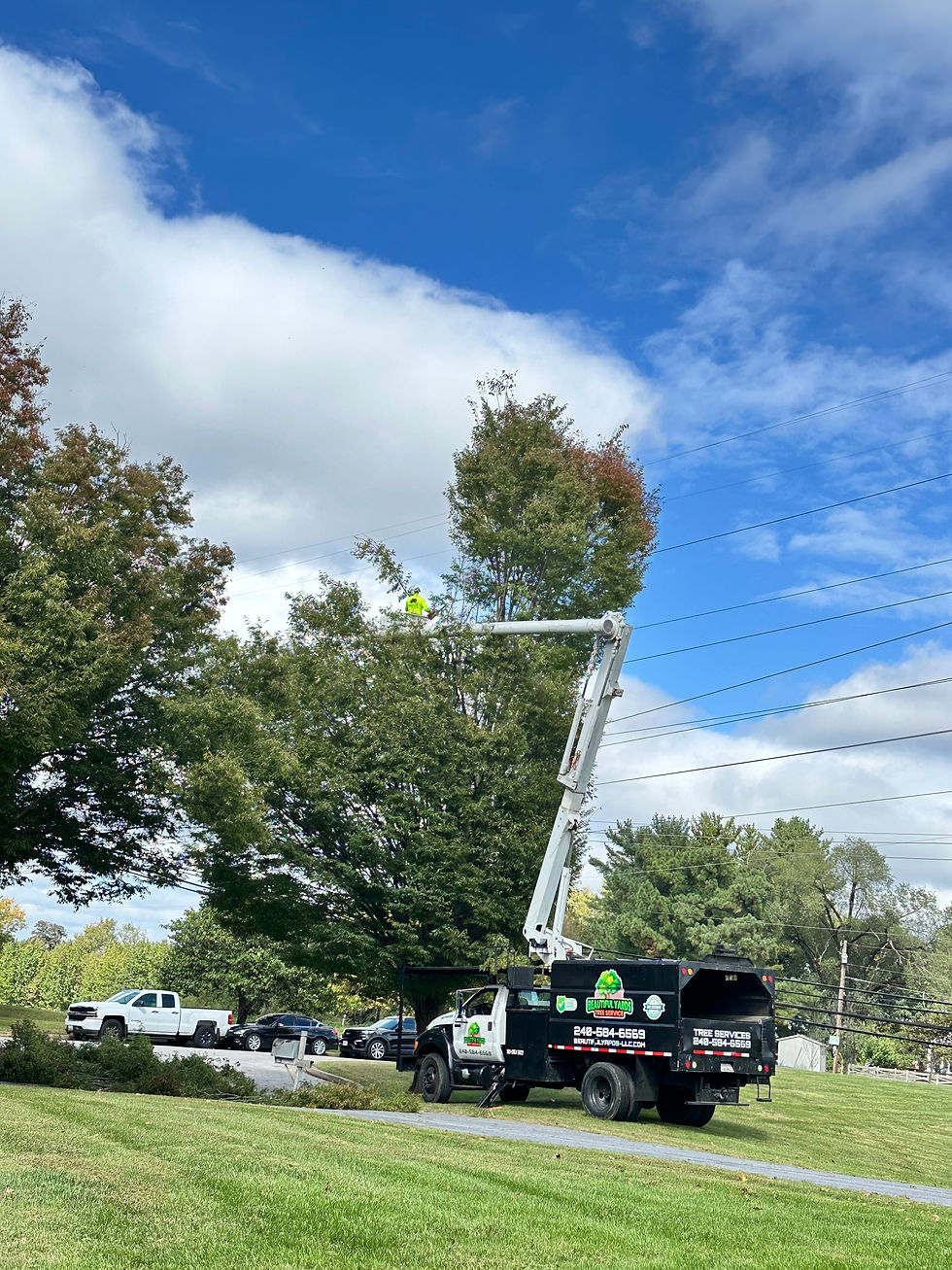 A bucket truck for beautiful yards tree service in action.