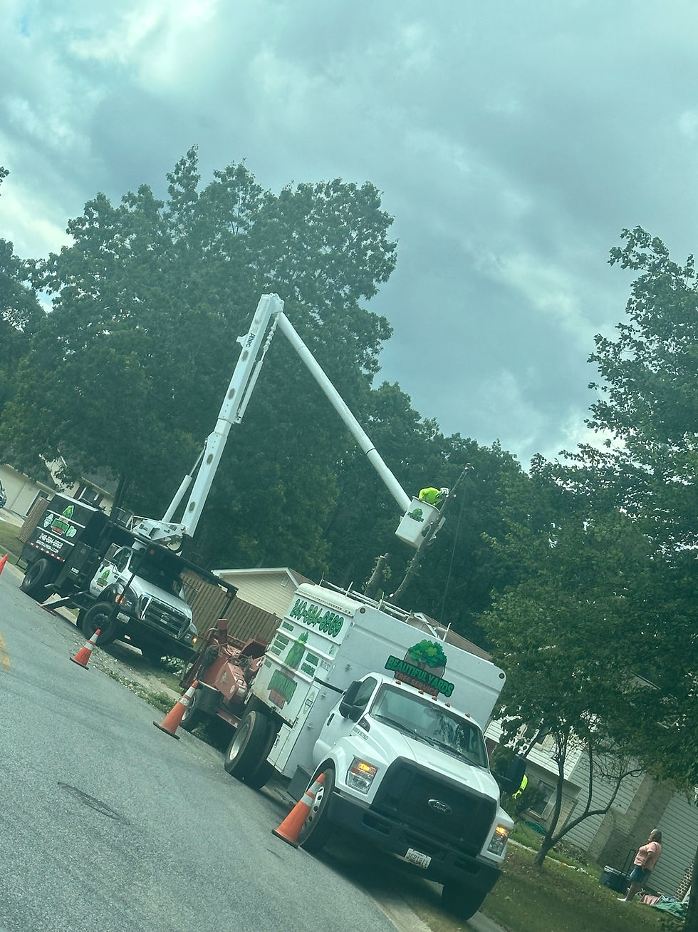 Professional safe tree removal techniques using a bucket truck.