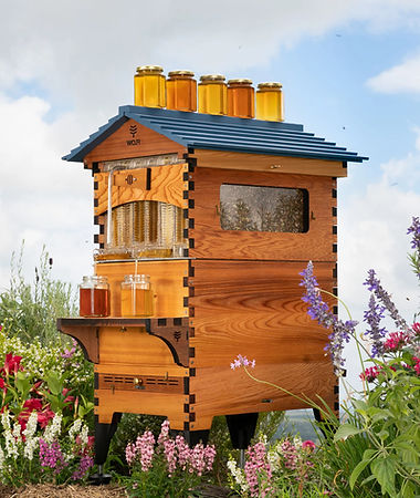 Flow Hive with honey jars from a honey harvest