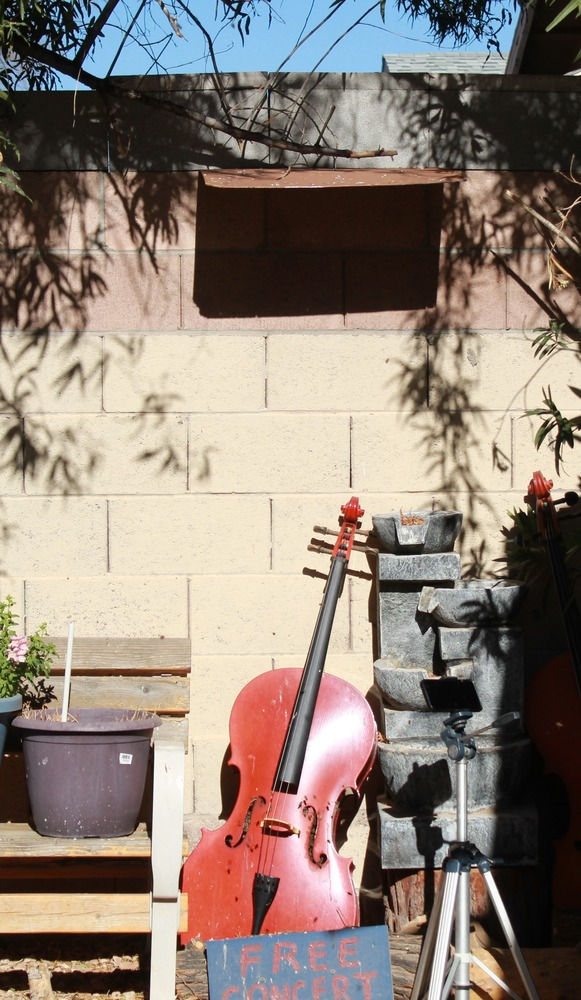 Tall walls help keep the bees out of neighbor yards