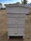 Warre beehive setup