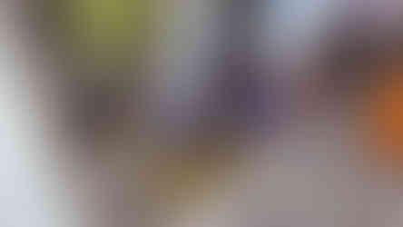 Beekeeper carefully removing honeycomb frames from hive