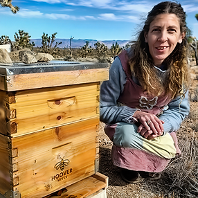 Betsy and her new beehive