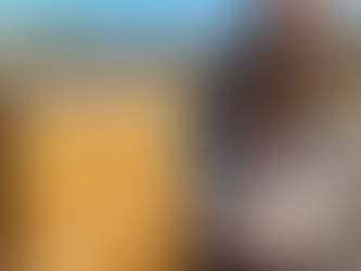 Popular Beehive Types Explained: Langstroth, Warre, Flow, Top Bar, and Apimaye.