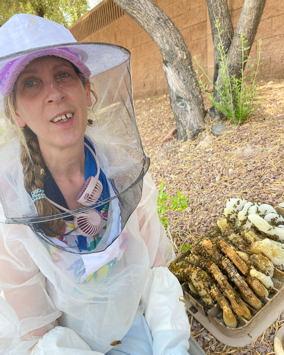 Betsy Lewis from Vegas Bees