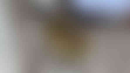 Beekeepers removing honeycomb with bees