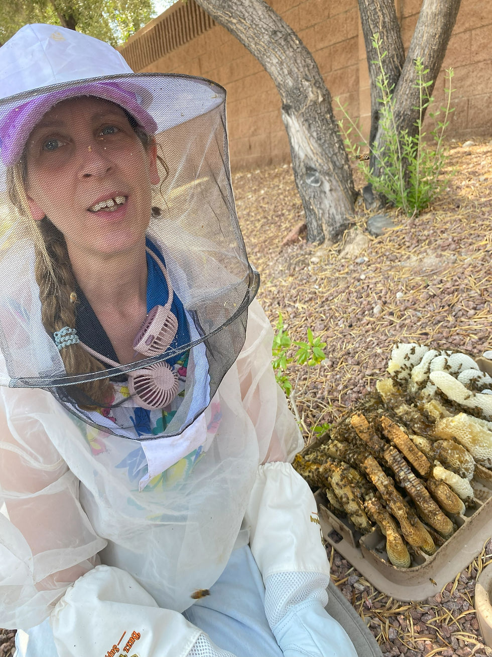 Betsy using eco friendly methods to do live bee removals in Las Vegas