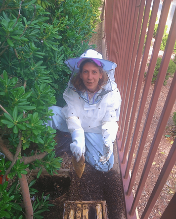 Betsy removing bees in Las Vegas