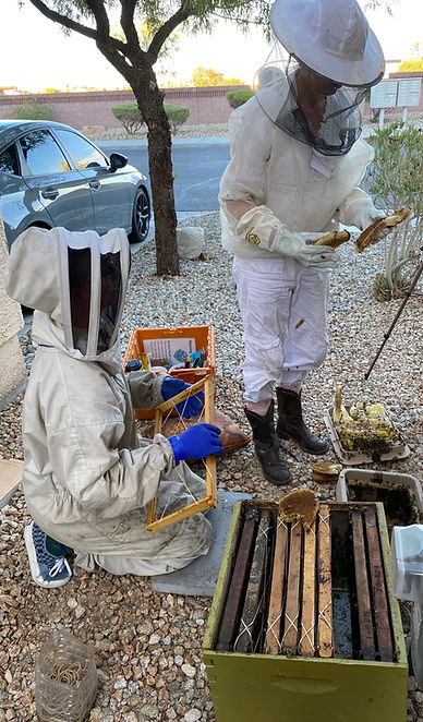 Nicole and Betsy are removing a beehive