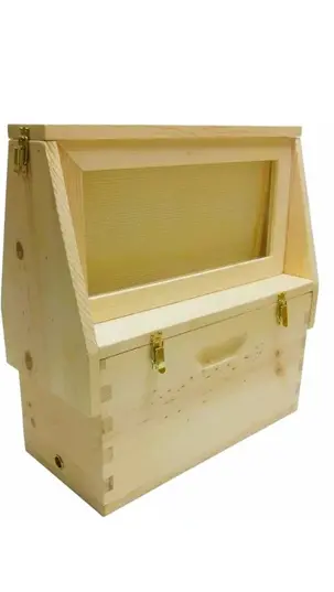 Artificial Intelligence and Beekeeping: Developing Smart Hives