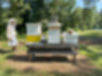 Betsy with a few beehives