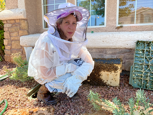 Beekeeper Betsy with bees on s beehive box