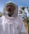 Pete the Old Beekeeper