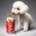 Your soda is up for grabs with yellow jackets around