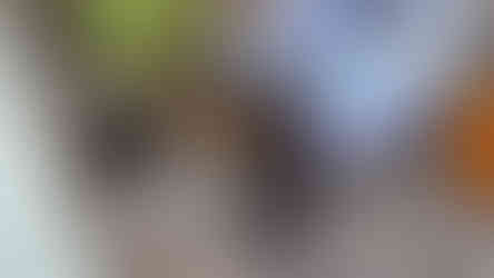 Beekeeper inspecting honeycomb frames