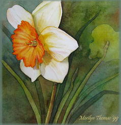 Daffodil watercolour painting.