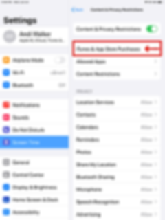 3-prevent app and purchases-ipad-1.png