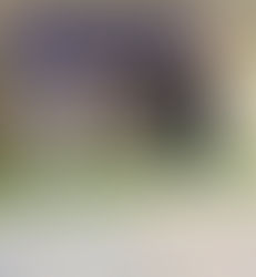 Mila wins bronze at U12 Elite Epee Surrey