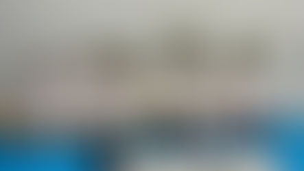 Team Knightsbridge is ready at Canterbury