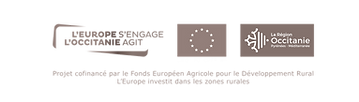 Logo Occitanie Europe.png