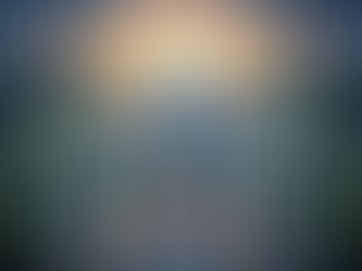 중국의 핵신 산업