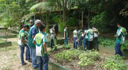 Projeto Educação Ambiental