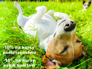 Poszukaj wiosny ze swoim psem na naszych kursach!