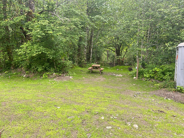 Site 32 6_20_21.jpeg