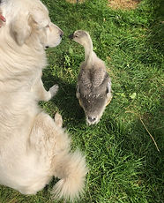 Everyone getting along