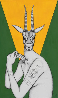 Où sont passées les gazelles ?