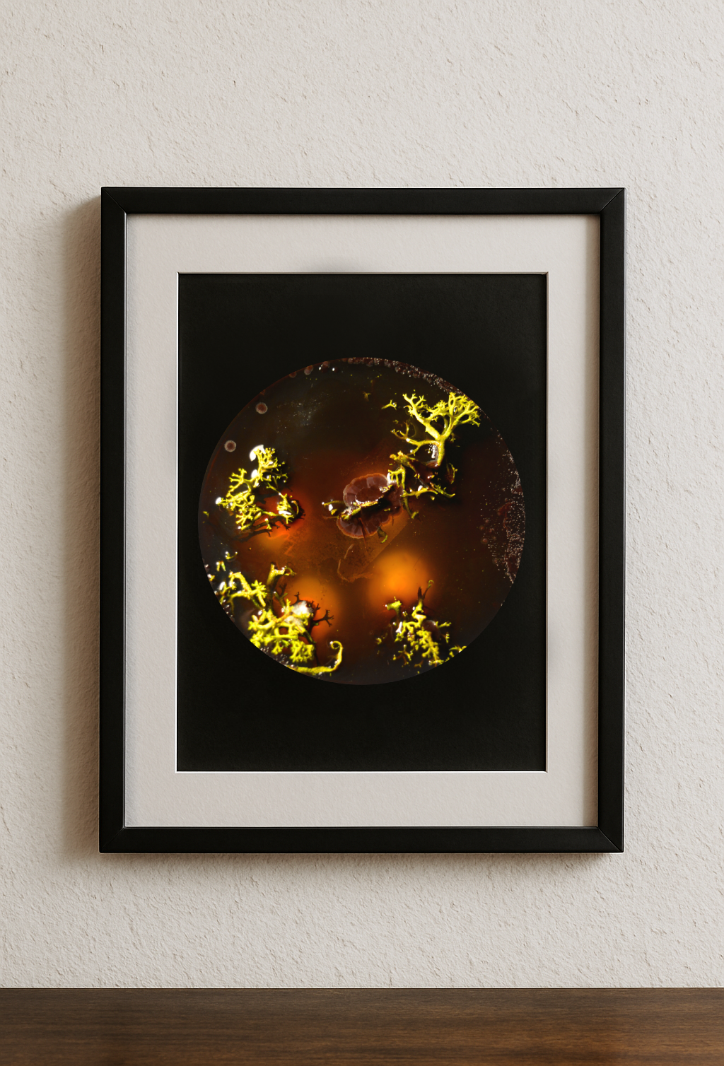Print op A4 formaat Flourish & Fungi [IV - I] by Lianne Regtuit