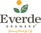 Everde-Logo-with-Tagline-140.png