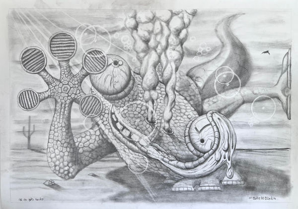 gecko print.jpg