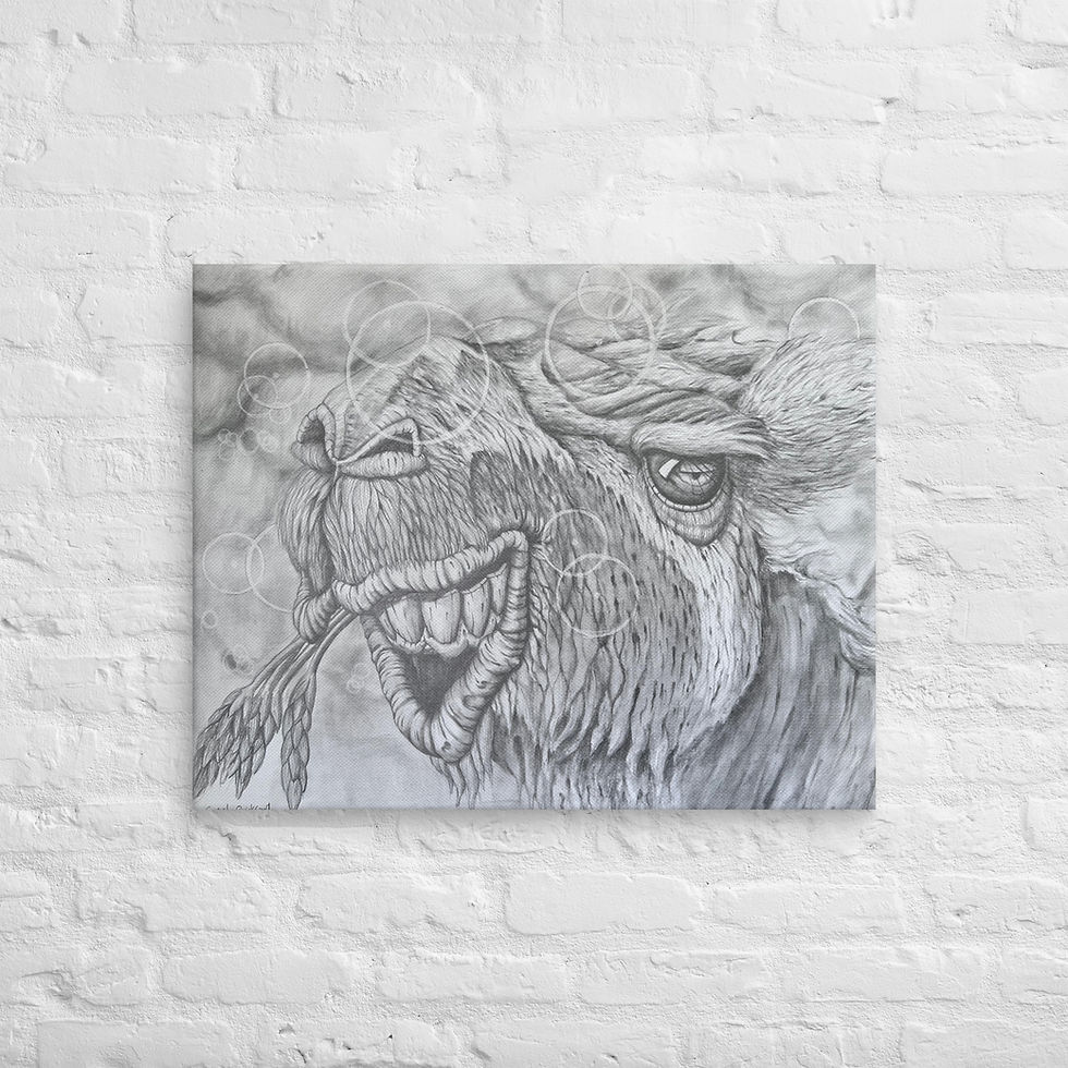 Thumbnail: Camel Canvas