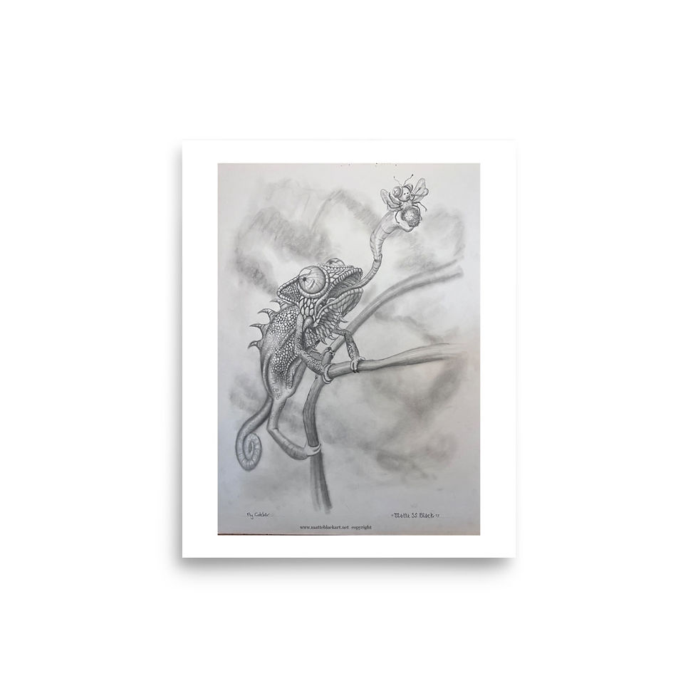 Thumbnail: Fly Catcher Poster