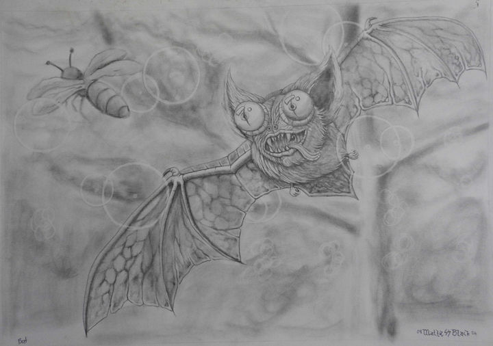 bat.jpg