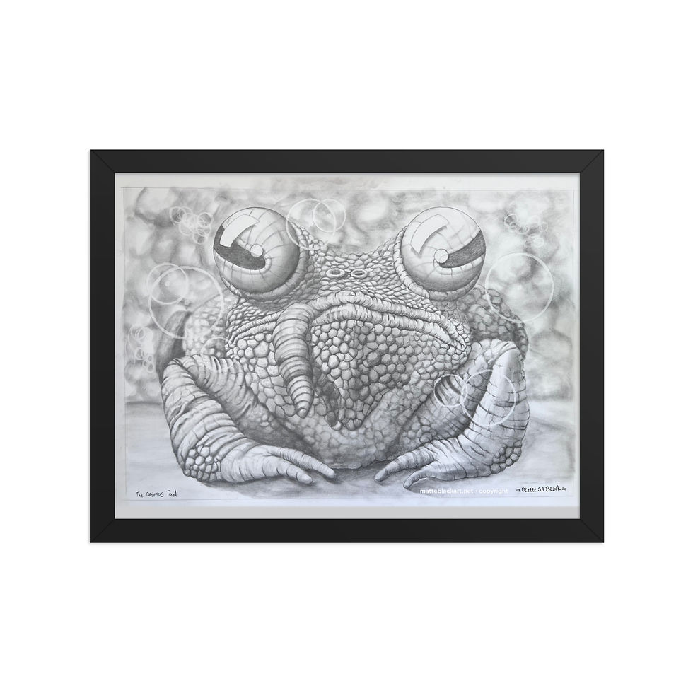 Thumbnail: The Ominous Toad Framed poster