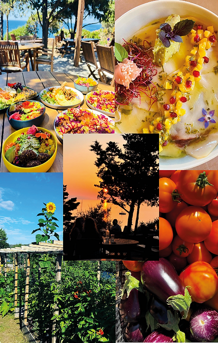 L-Artigiana-restaurant-Galeria-route-des-artisans-coup-de-coeur.png