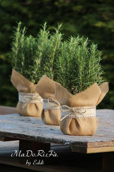 Jute plant holder 3.jpg