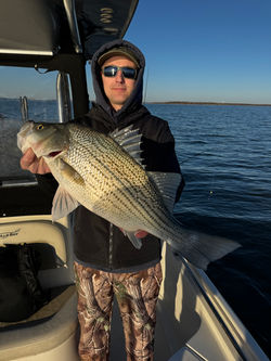 DFW Guided Striper Fishing